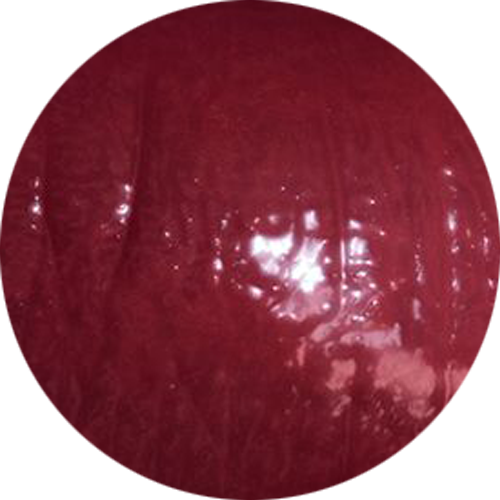 Butter Lipgloss - Tyrian Red (C)