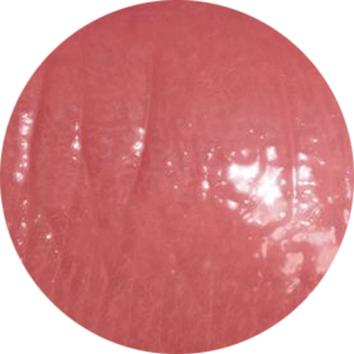 My Signature Butter Lipgloss - Shady Lady (C)