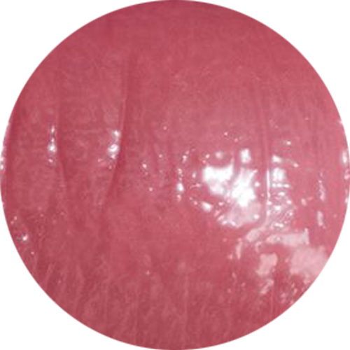 My Signature Butter Lipgloss - Charm (NC)