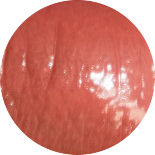 My Signature Butter Lipgloss - Japonica (W)