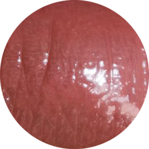 My Signature Butter Lipgloss - Chestnut Rose (NW)