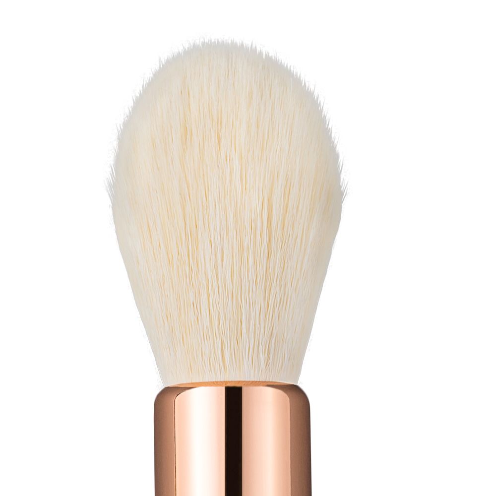Powder Brush